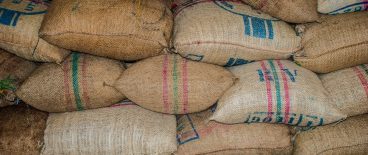 Image of large burlap sacks stacked