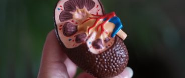 kidneys and kickbacks