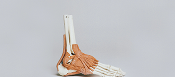 medicare fraud | tycko & zavareei llp