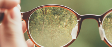 view of a forest thigh glasses