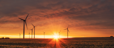 windmills on a huge field during sunset