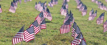 American flags on the grass
