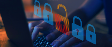 cyber fraud