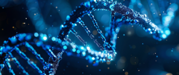 model of a DNA chain